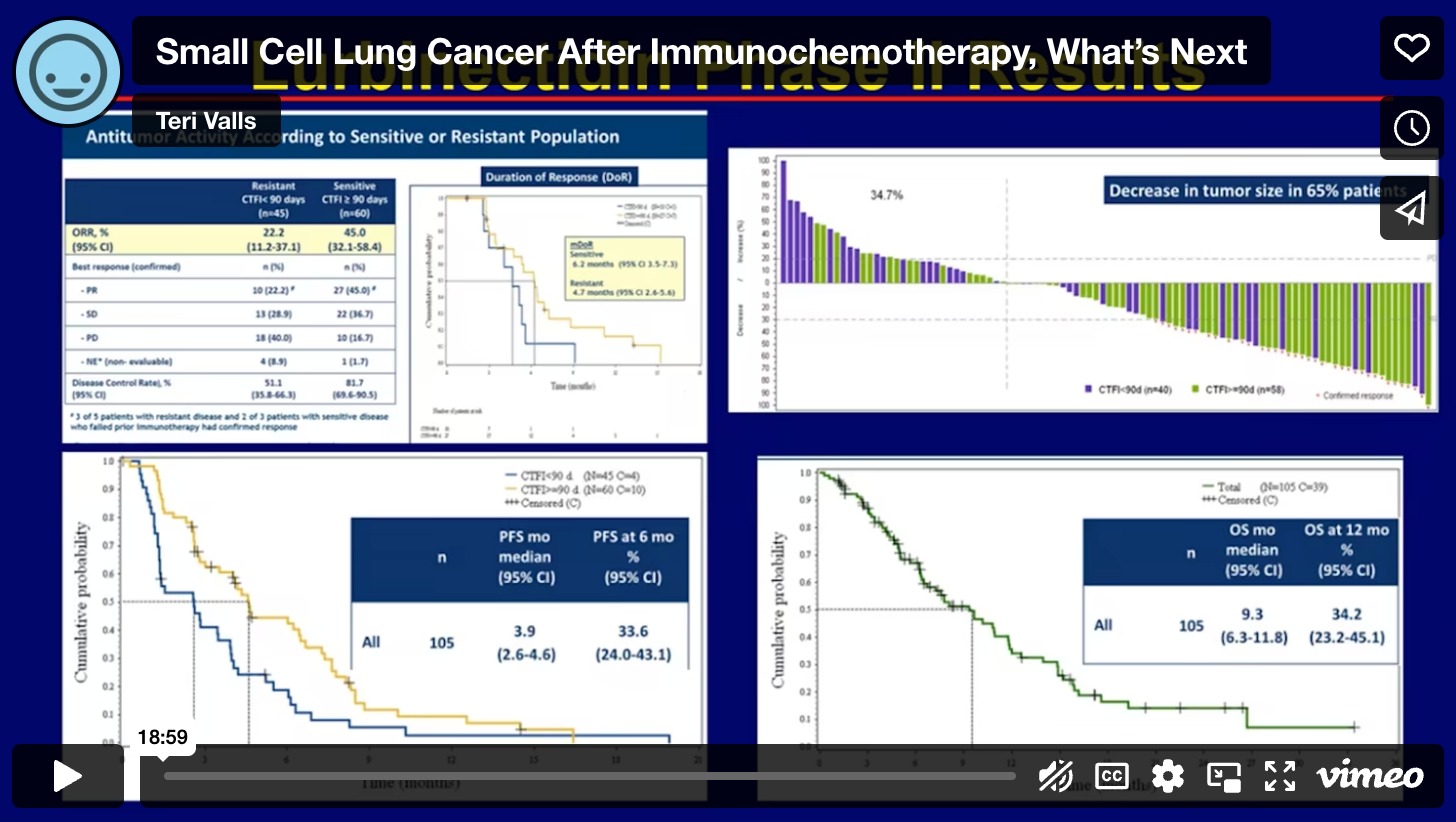 Small Cell Lung Cancer: After Immunochemotherapy, What’s Next?