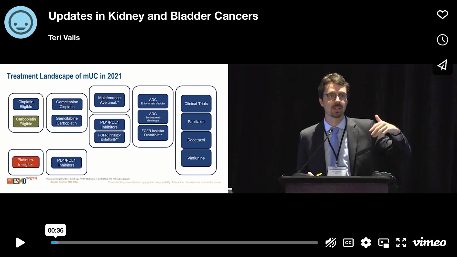 Updates in Kidney and Bladder Cancers
