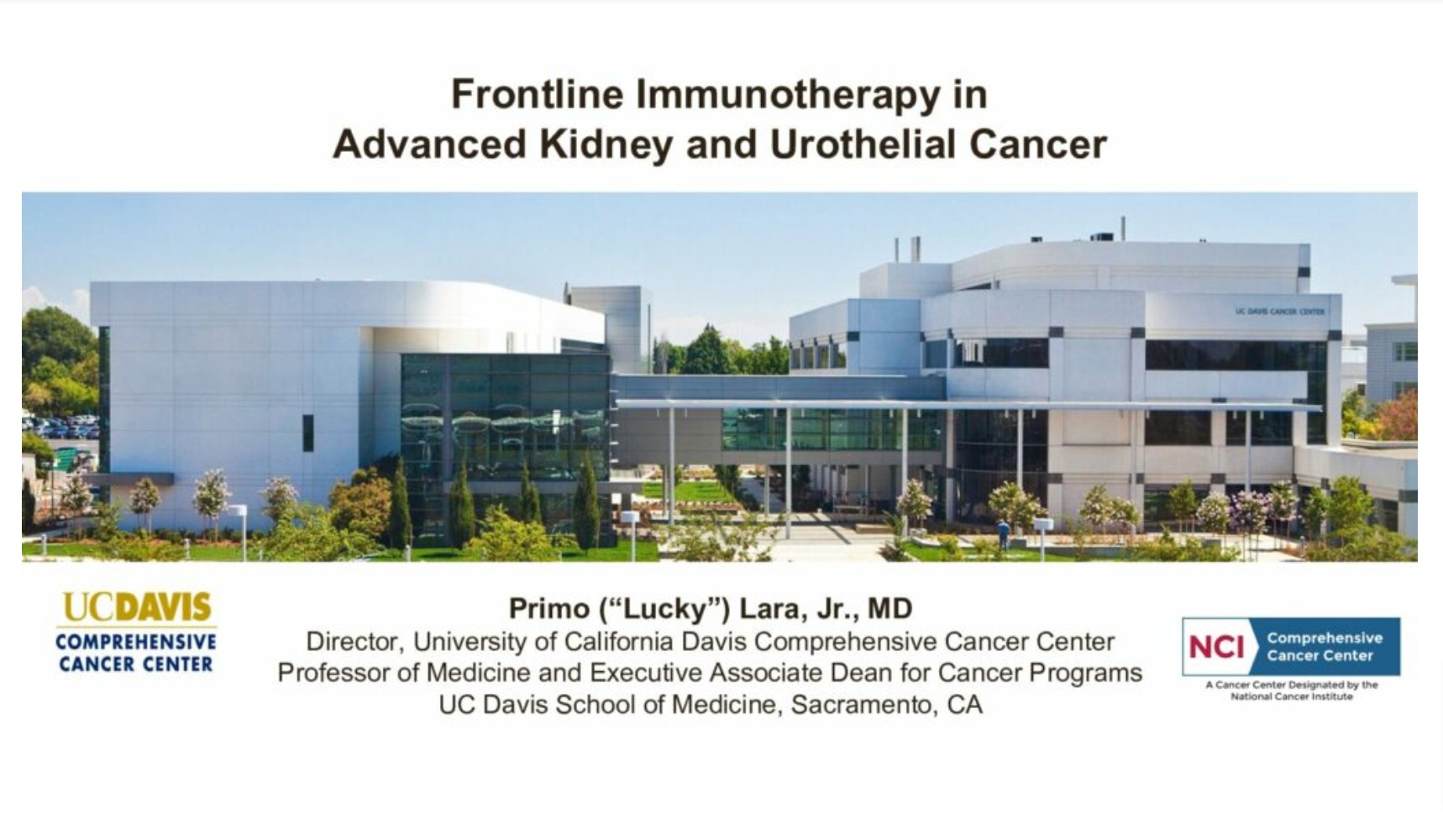 Immunotherapy in Kidney & Bladder Cancer