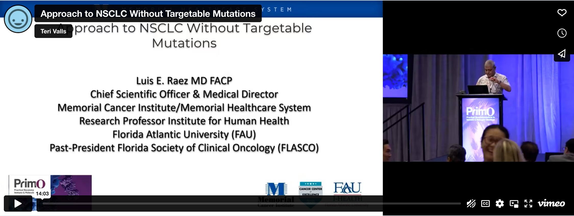 Approach to NSCLC Without Targetable Mutations