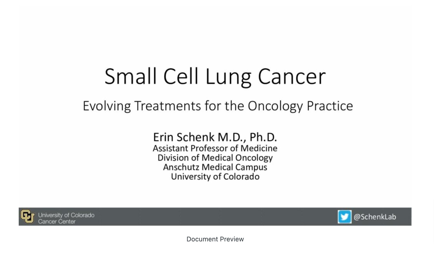 Small Cell Lung Cancer