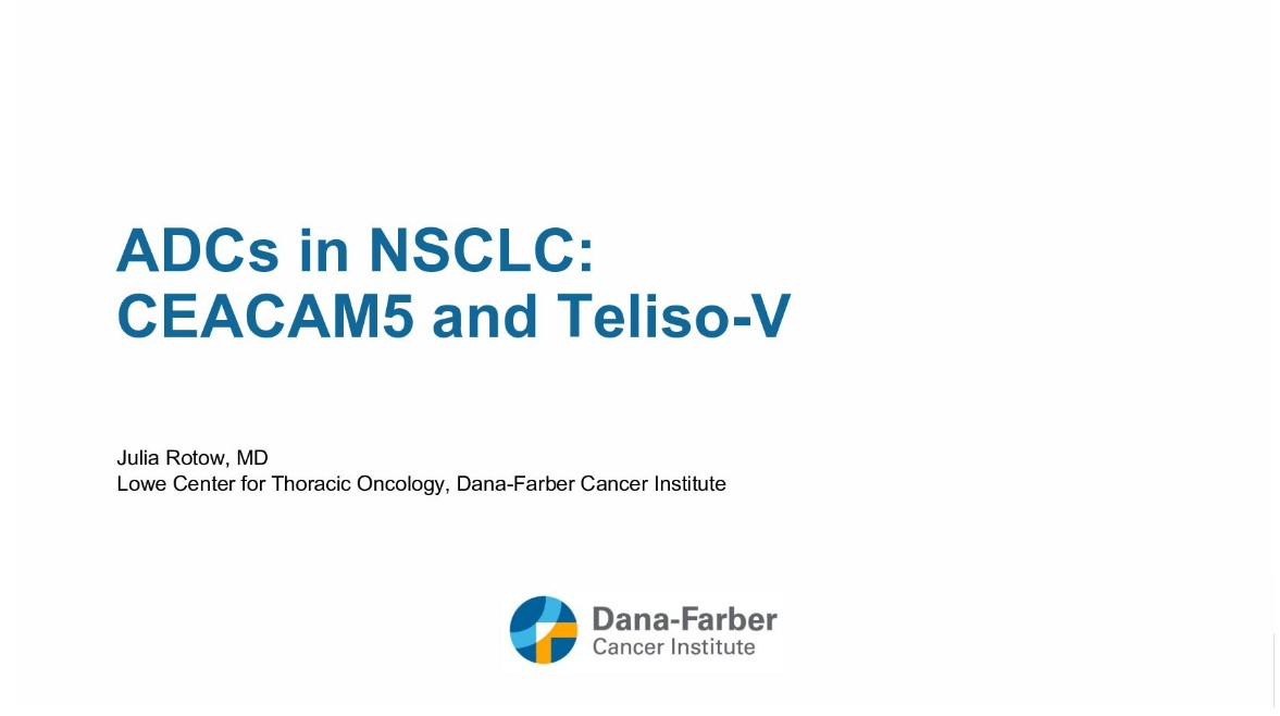 ADC in NSCLC: CEACAM5 and Teliso-V