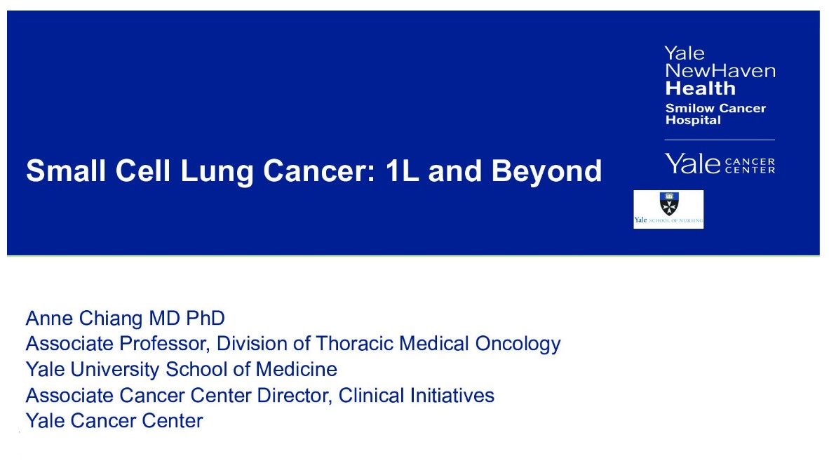 Small Cell Lung Cancer: 1L and Beyond