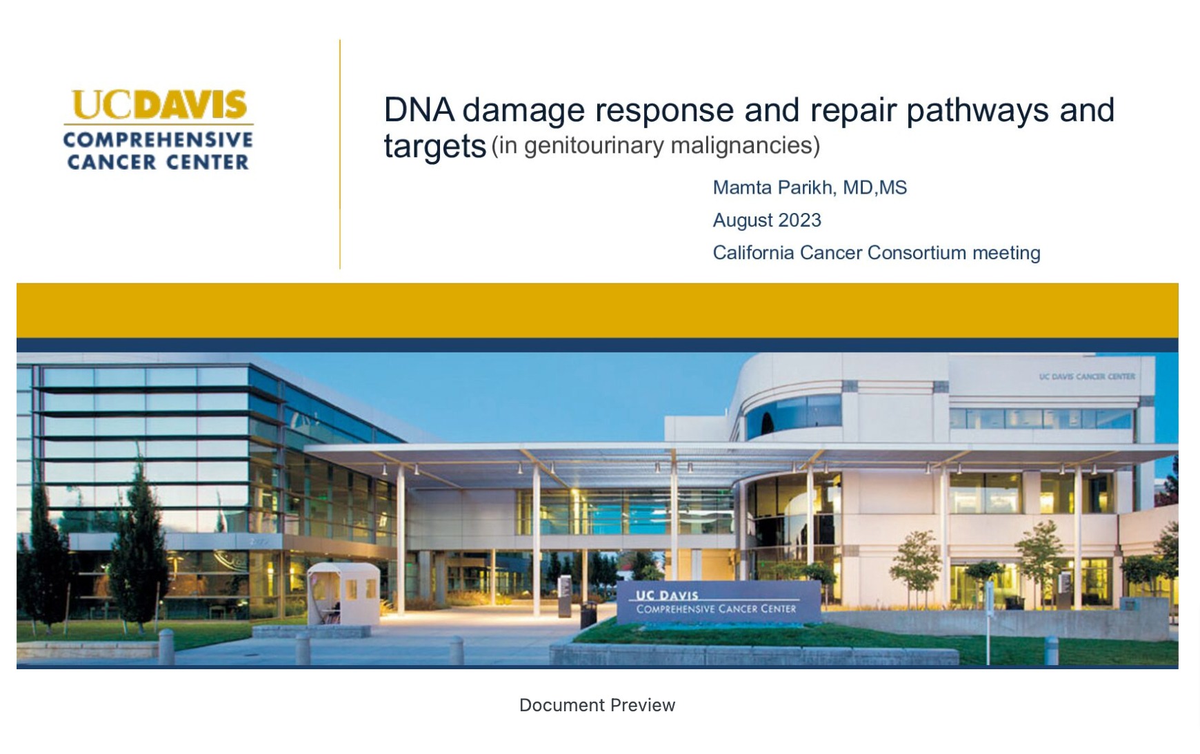 DDR and DNA-Repair Pathways and Targets