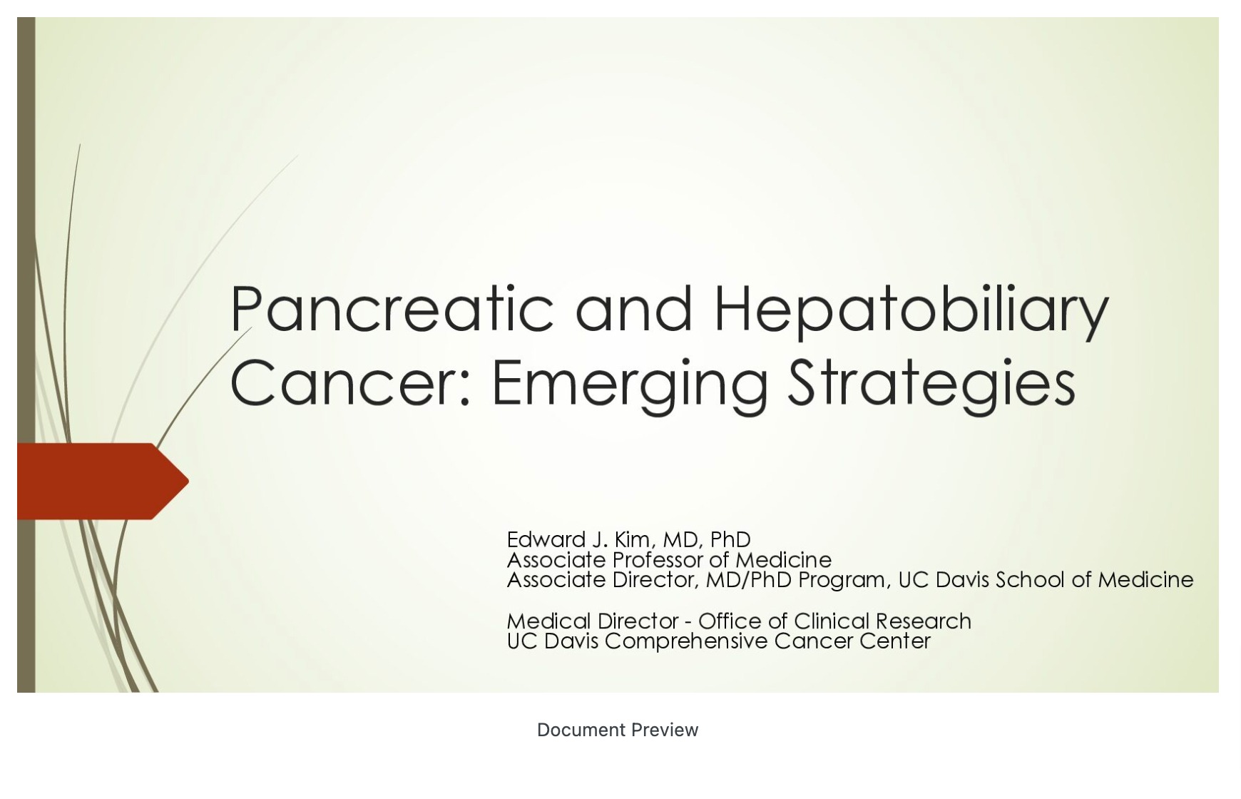 Pancreatic and Hepatobiliary Cancer: Emerging Strategies