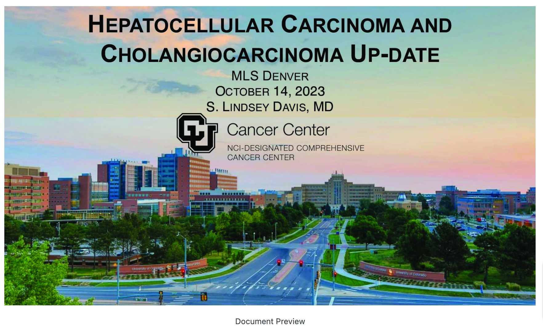 Hepatocellular Cancer and Cholangiocarcinoma Updates