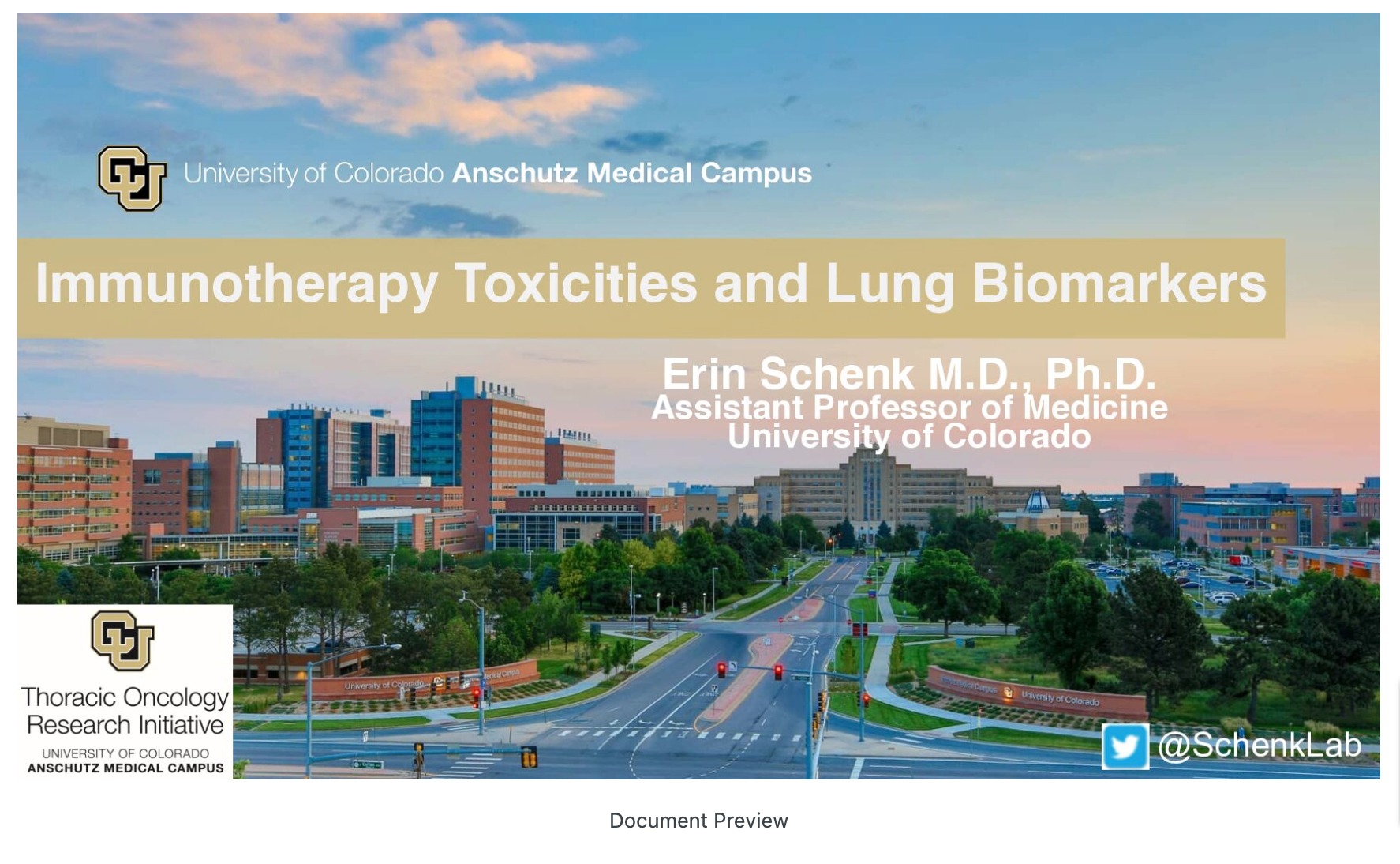 Immunotherapy Toxicities and Lung Biomarkers