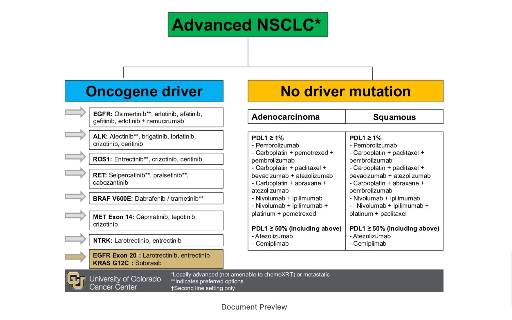 Targeted Therapies in Lung Cancer