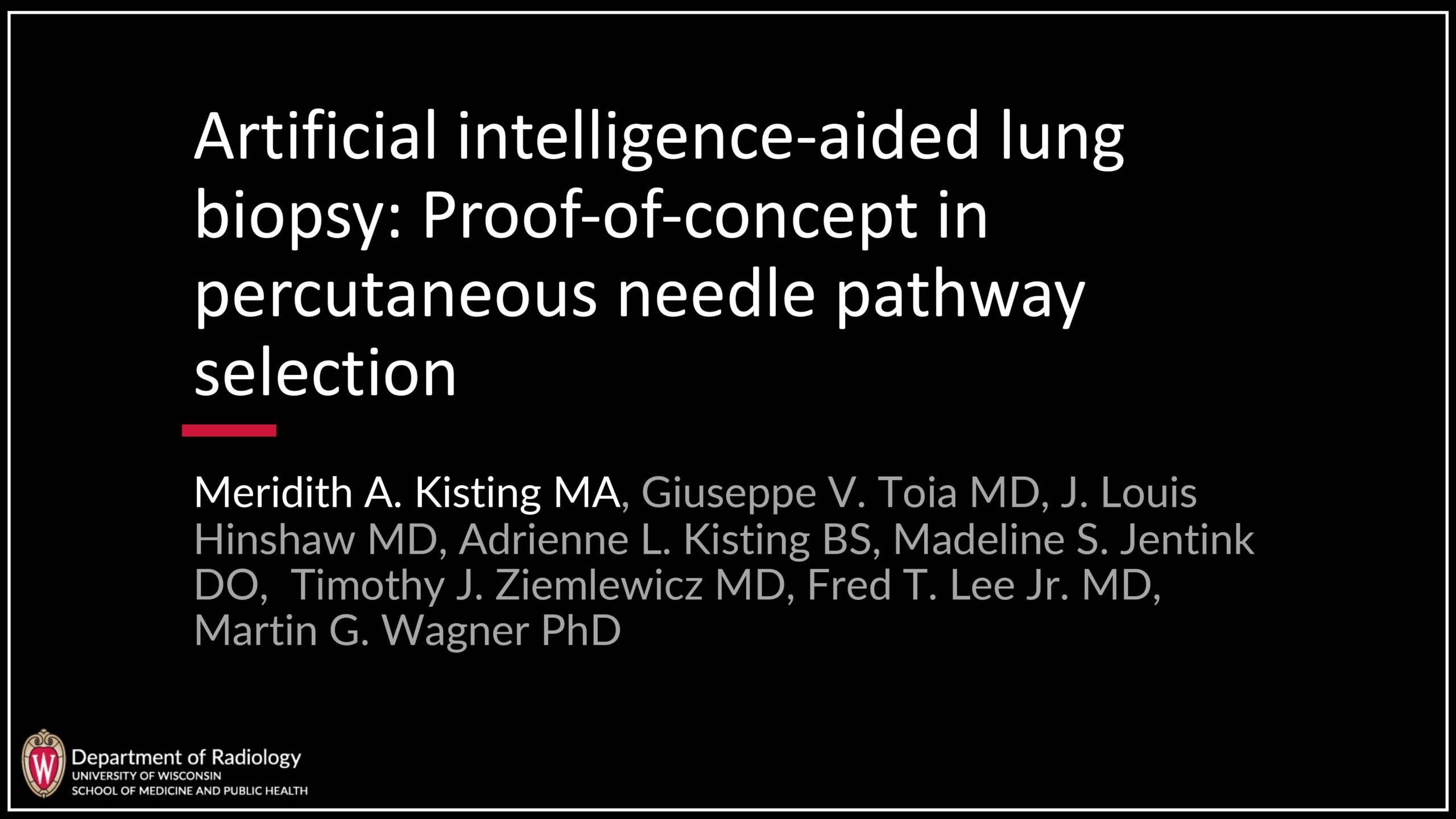 Artificial Intelligence-Aided Lung Biopsy: Proof-of-Concept in Percutaneous Needle Pathway Selection