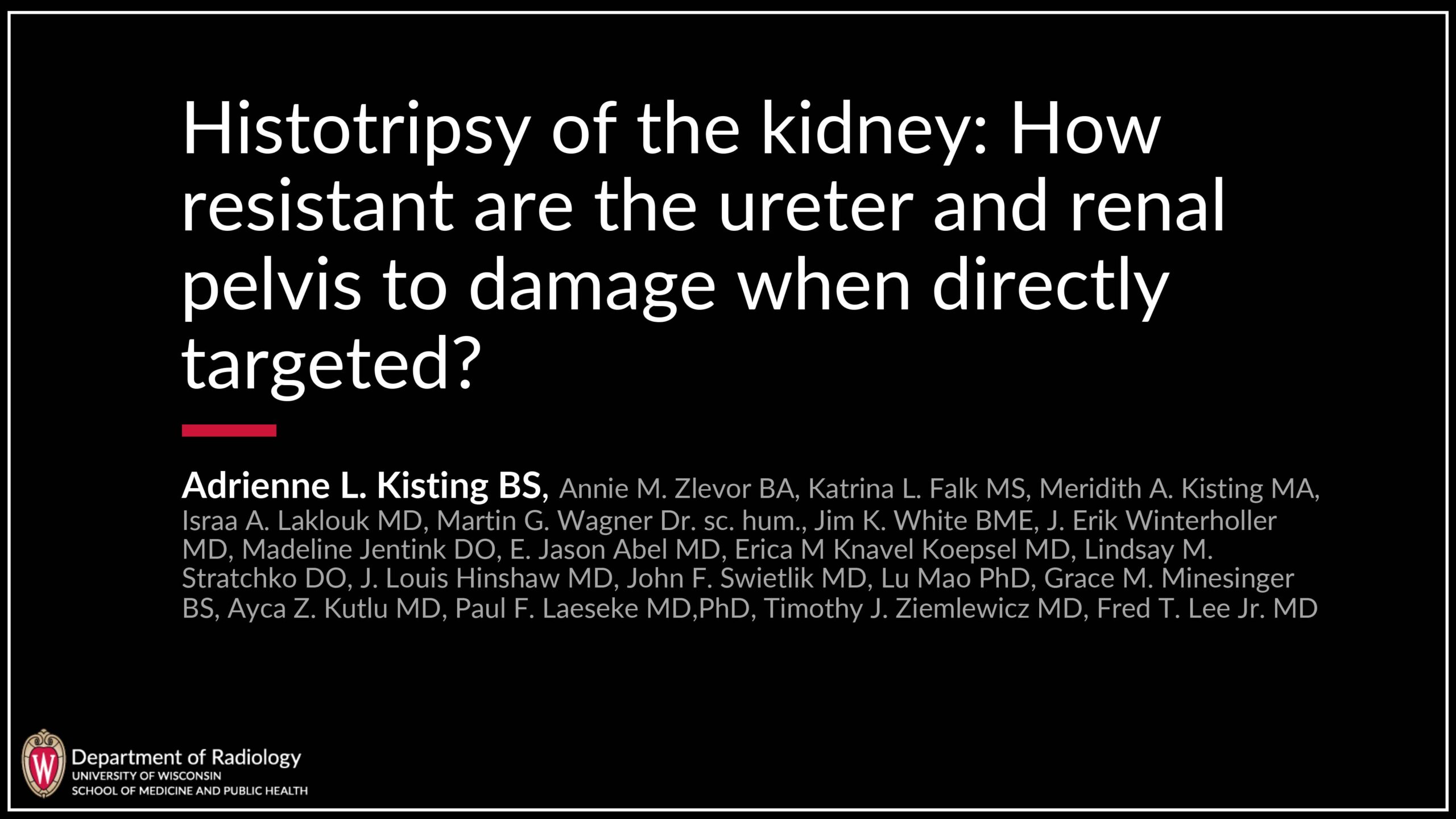 Histotripsy of the Kidney: How Resistant are the Ureter and Renal Pelvis to Damage when Directly Targeted?