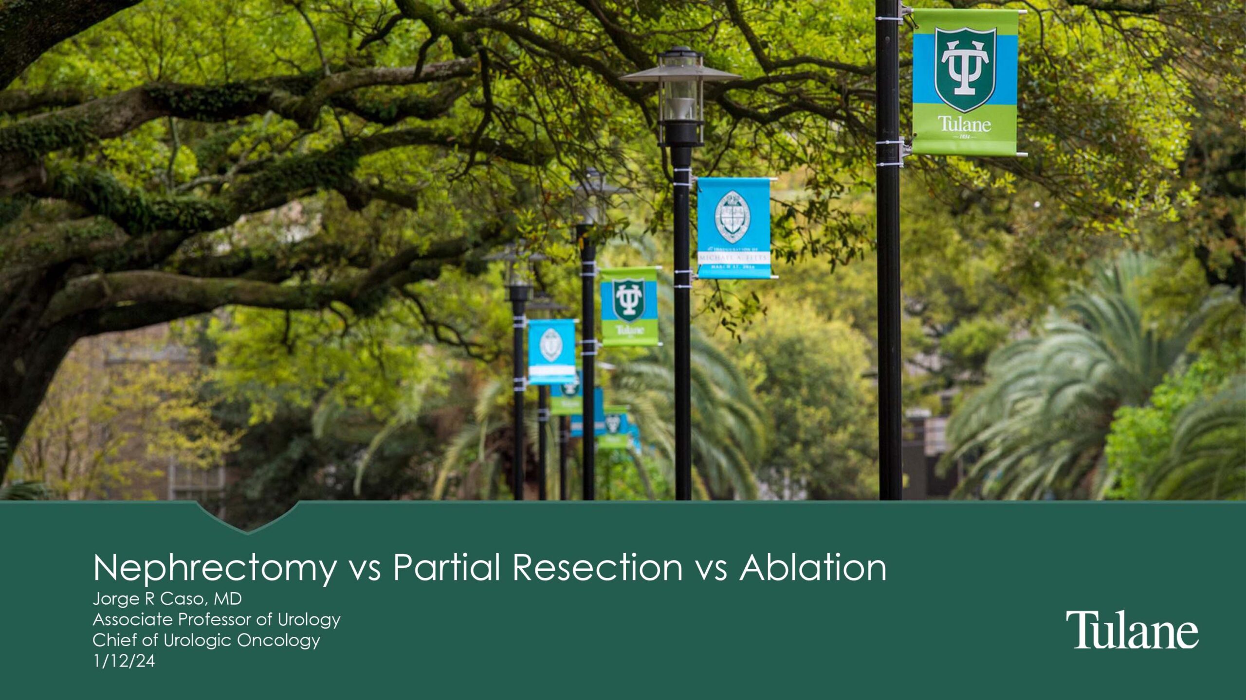 Nephrectomy vs Partial resection vs Ablation