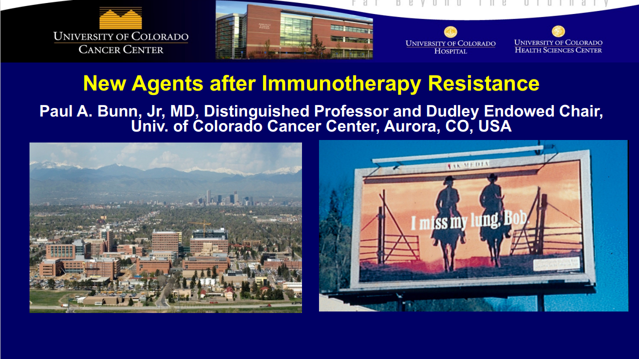 New Agents after Immunotherapy Resistance