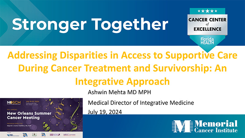 Addressing Disparities in Access to Supportive Care During Cancer Treatment and Survivorship: An Integrative Approach