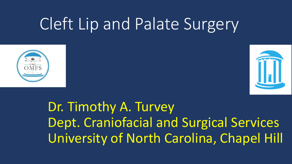 Cleft Lip, Palate and Alveolar Cleft Surgery: Timing, Surgical Approaches and Outcomes