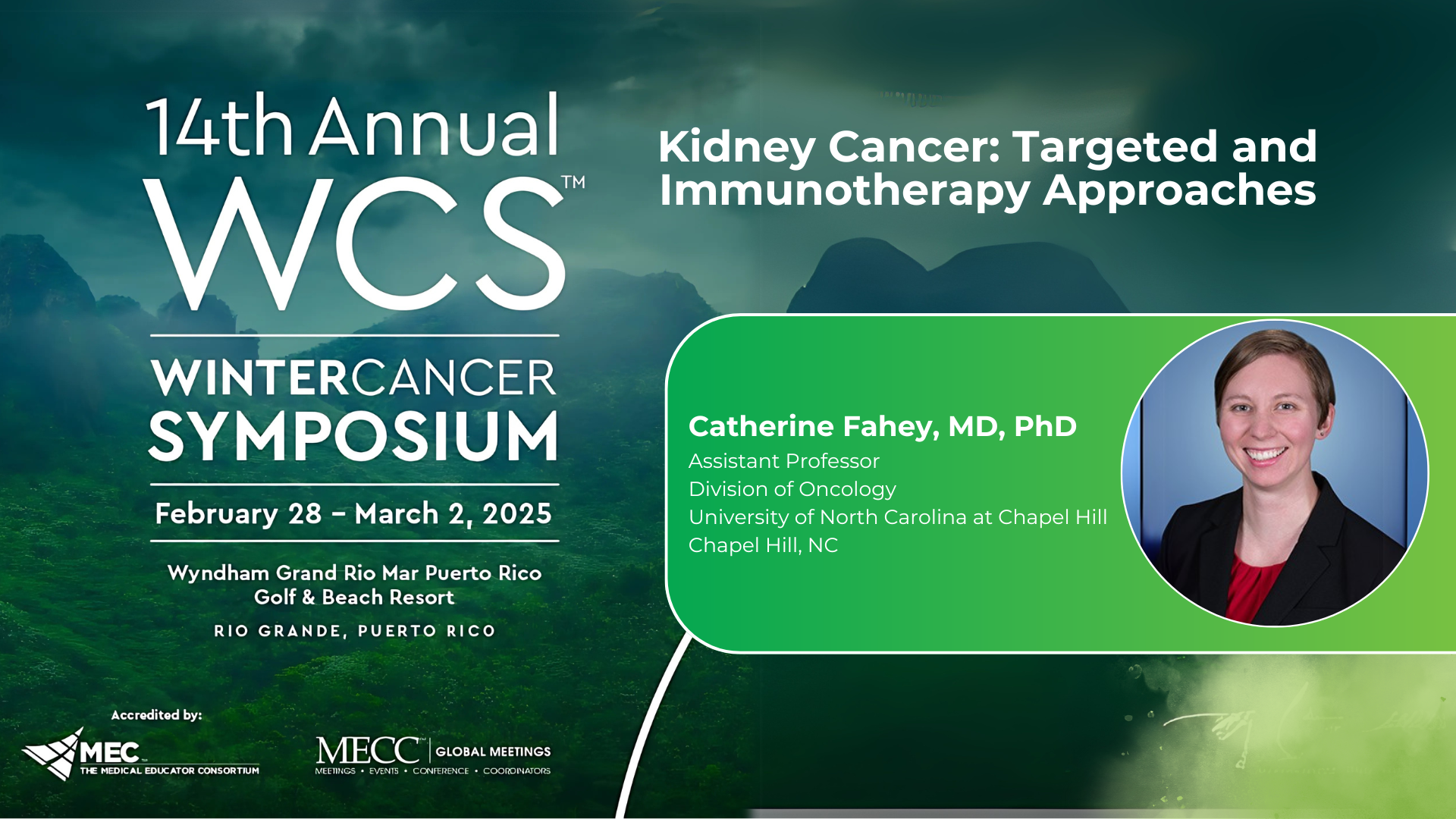 Kidney Cancer: Targeted and Immunotherapy Approaches